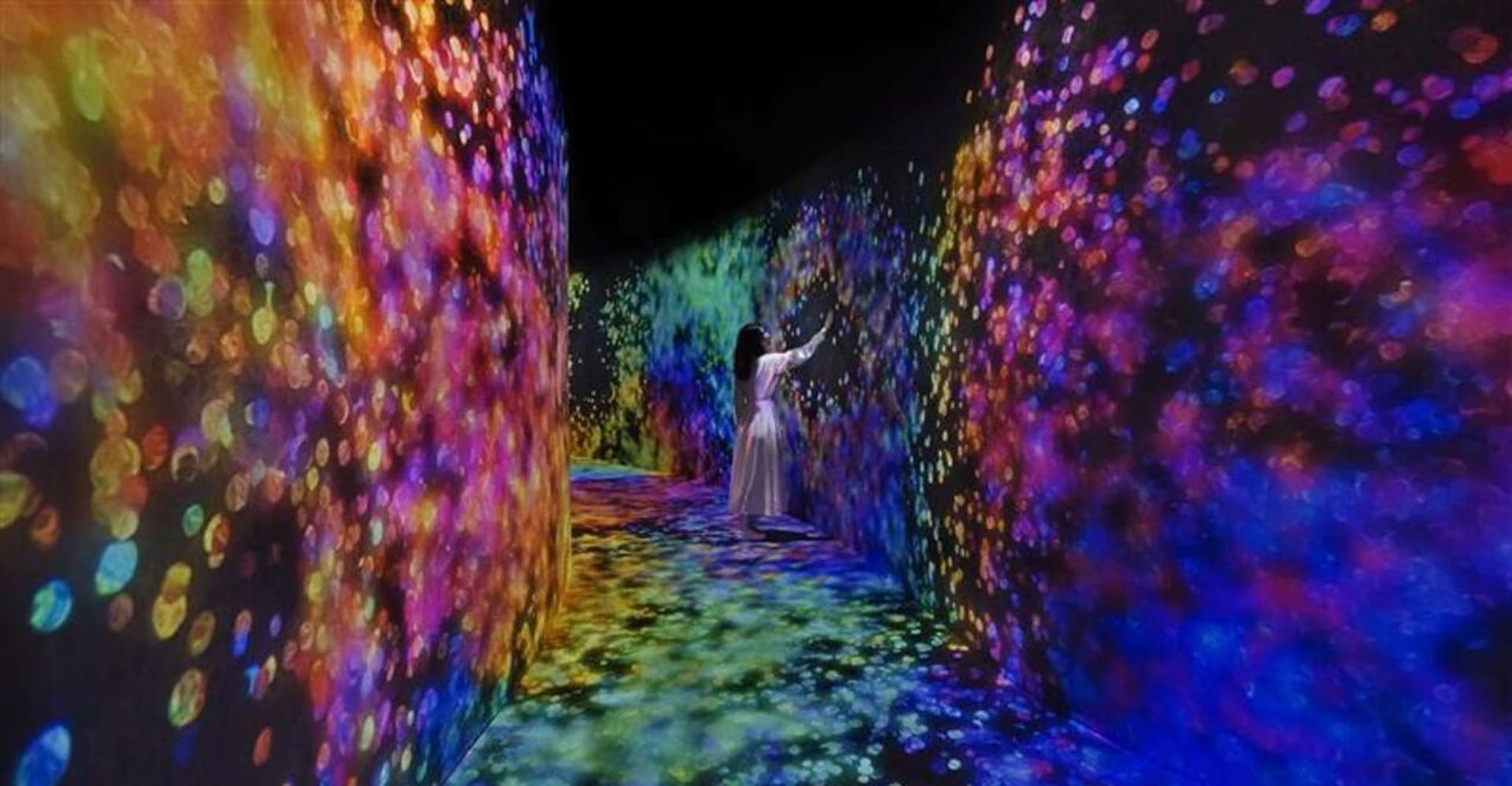 Abu Dhabi: teamLab Phenomena Entry Ticket photo 3