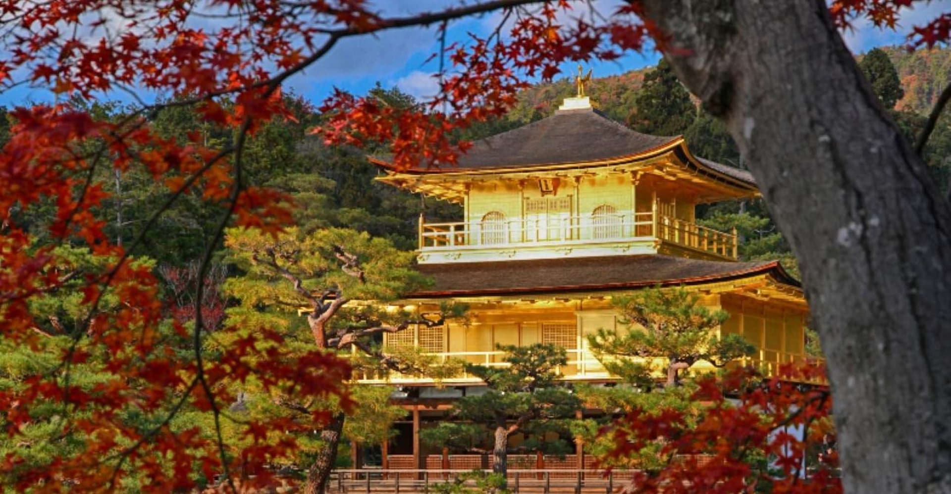 From Osaka/Kyoto: Kinkakuji, Arashiyama, FushimiInari, Nara photo 8