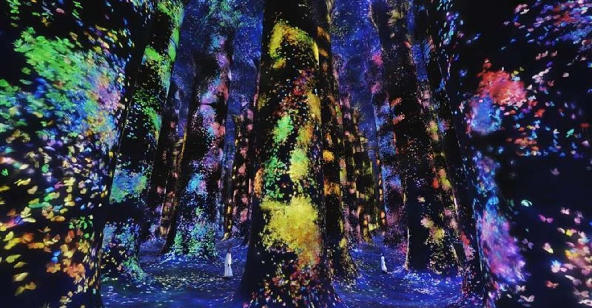 Abu Dhabi: teamLab Phenomena Entry Ticket photo 4