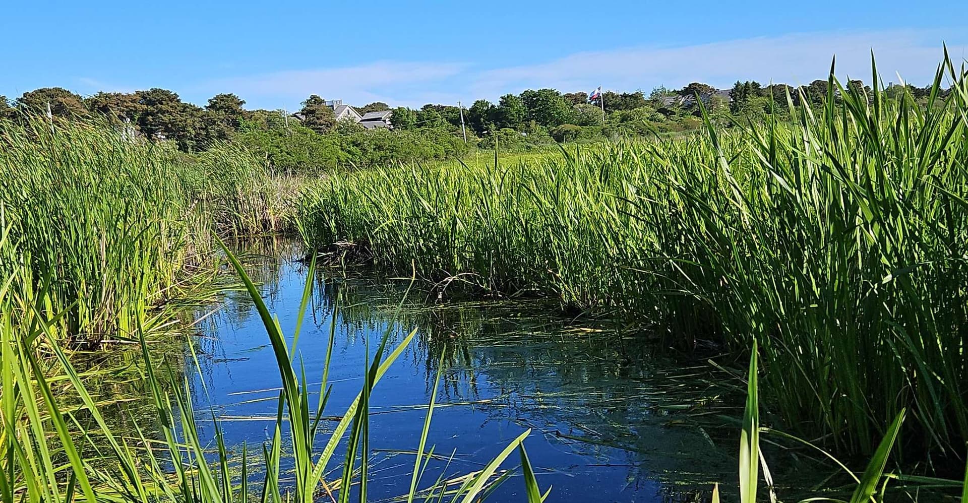 Nantucket: Historical Landmarks Sightseeing Bus Tour photo 4
