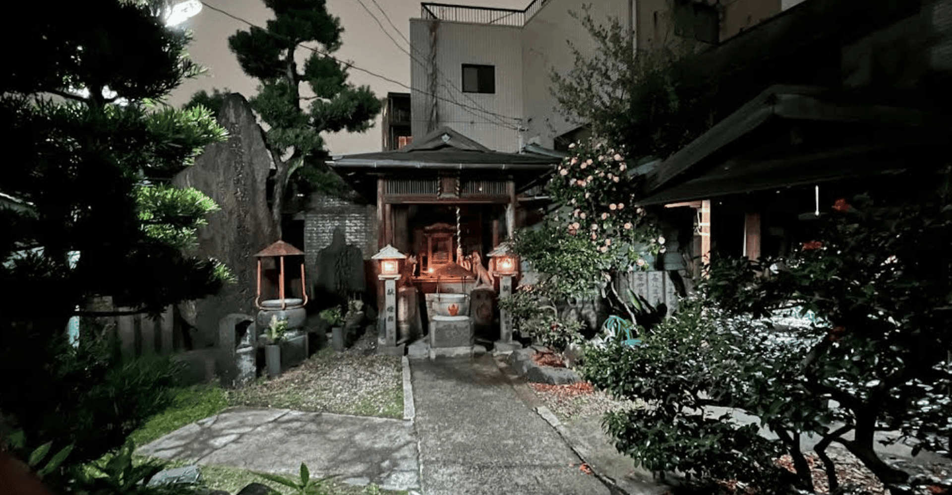 Osaka: Deep Backstreets Walking Tour with Dinner Option photo 1