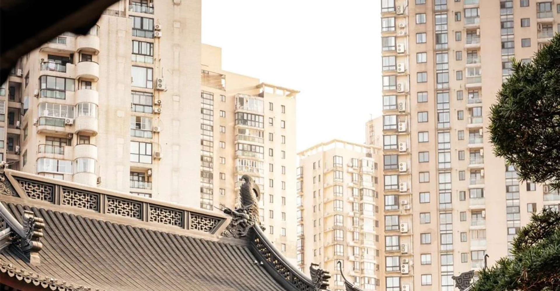 Shanghai: Jade Buddha Temple and Local Food Tour photo 6