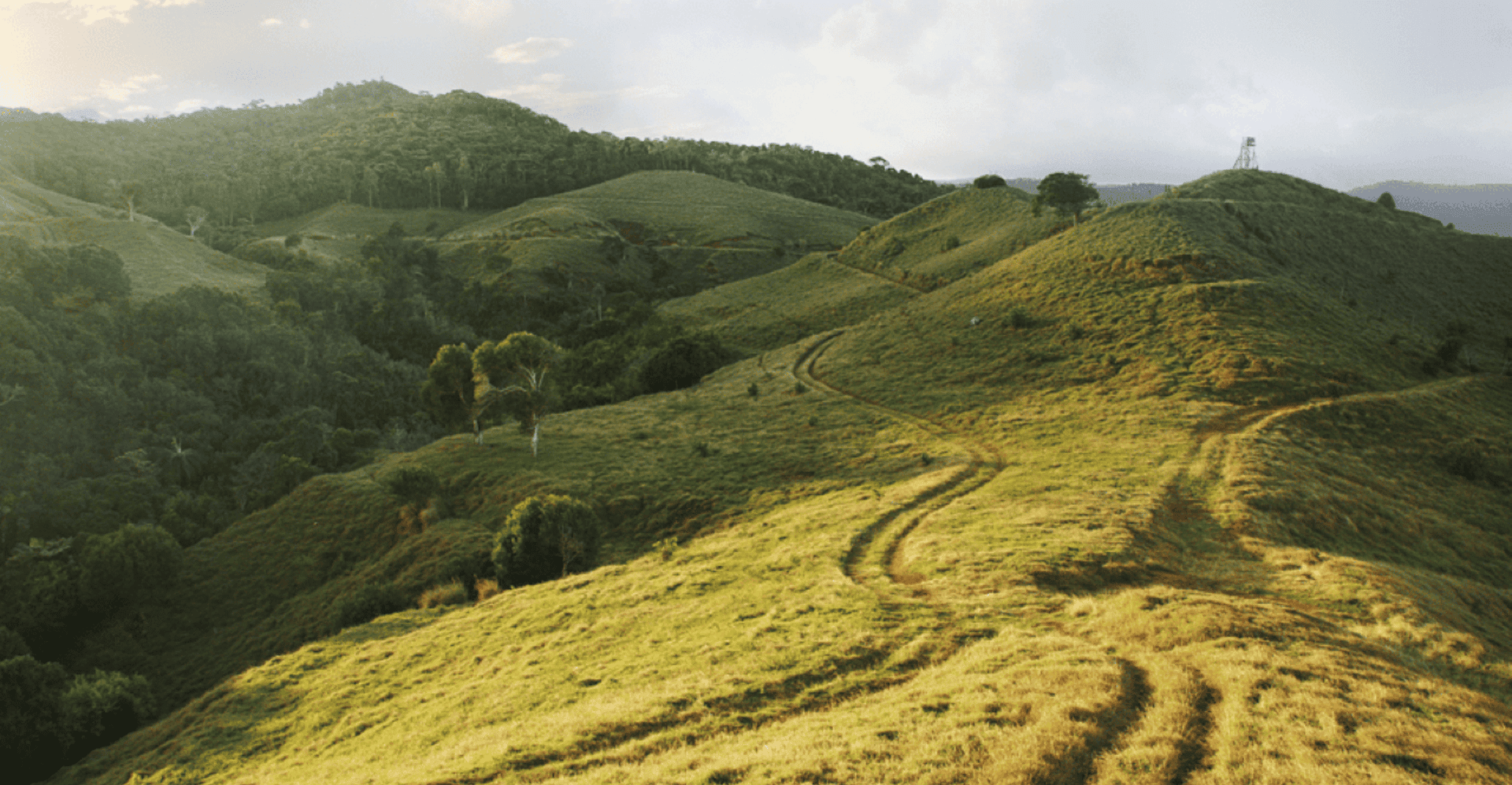 Mauritius: Bel Ombre Nature Reserve Buggy Tour photo 4