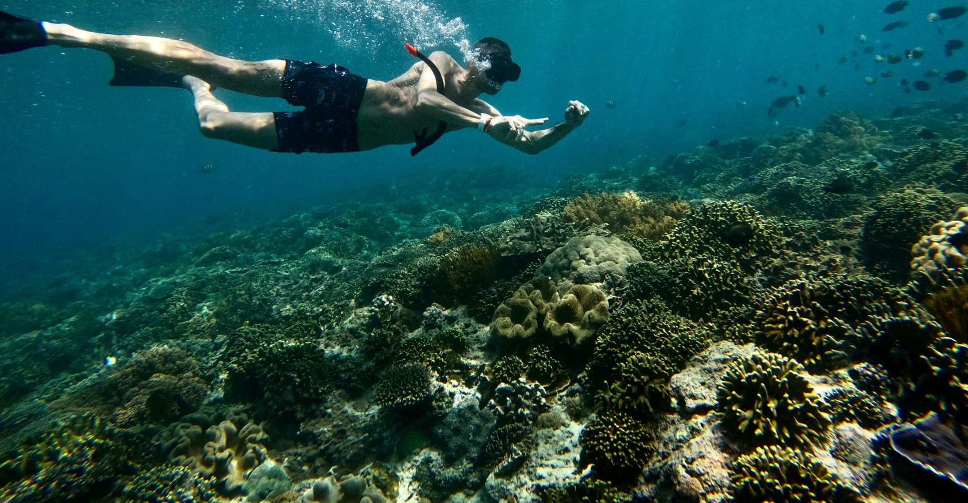 Bali: Snorkeling Blue Lagoon 2 Spot & Lunch optional Village photo 4