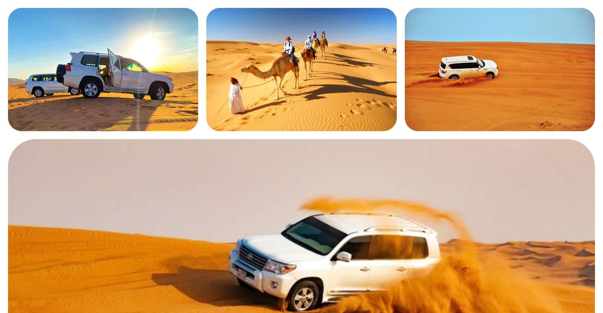 Doha: ATV, Quad/Buggy Dune Bashing, Camel Ride, Sandboarding photo 2