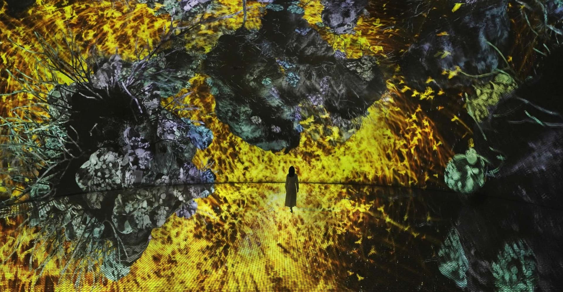 Abu Dhabi: teamLab Phenomena Entry Ticket photo 9