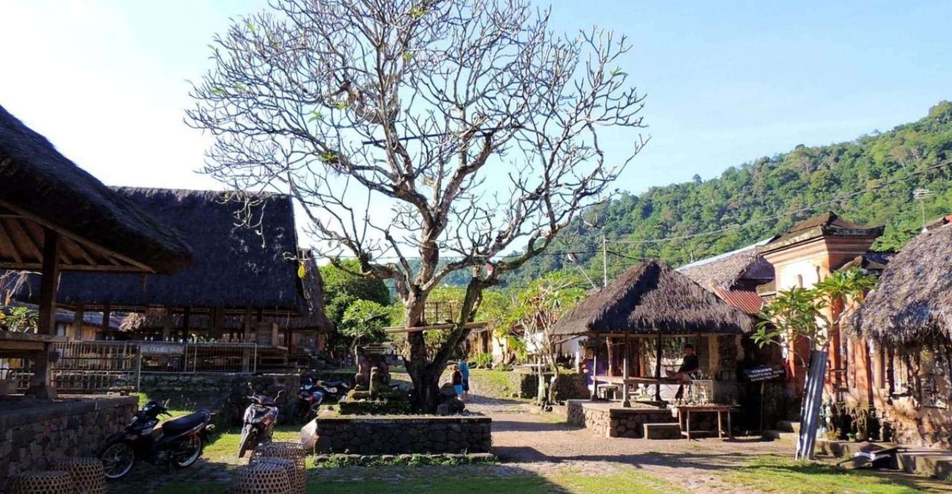 Bali: Snorkeling Blue Lagoon 2 Spot & Lunch optional Village photo 17