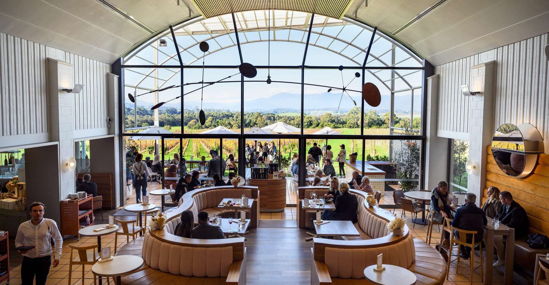 From Melbourne: Yarra Valley Chandon Cheese & Kangaroos Tour photo 9