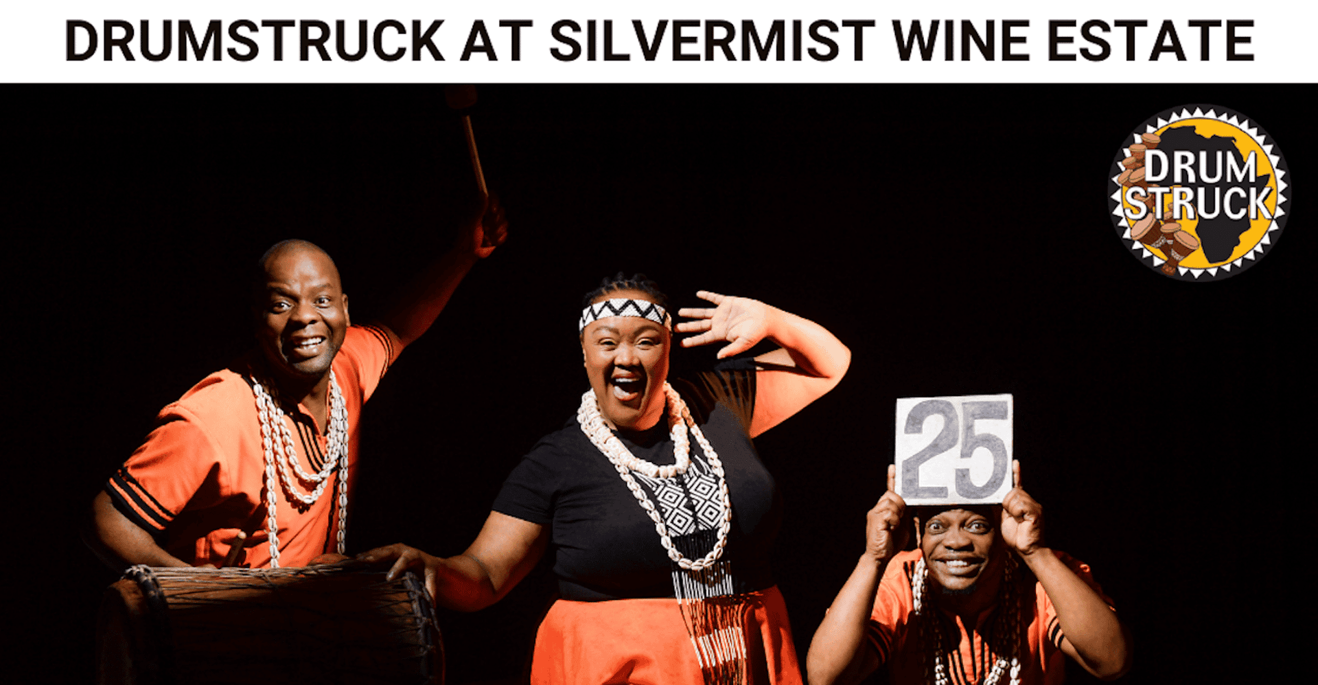 Cape Town: Silvermist Estate Wine Tasting & Drumstruck Show photo 11
