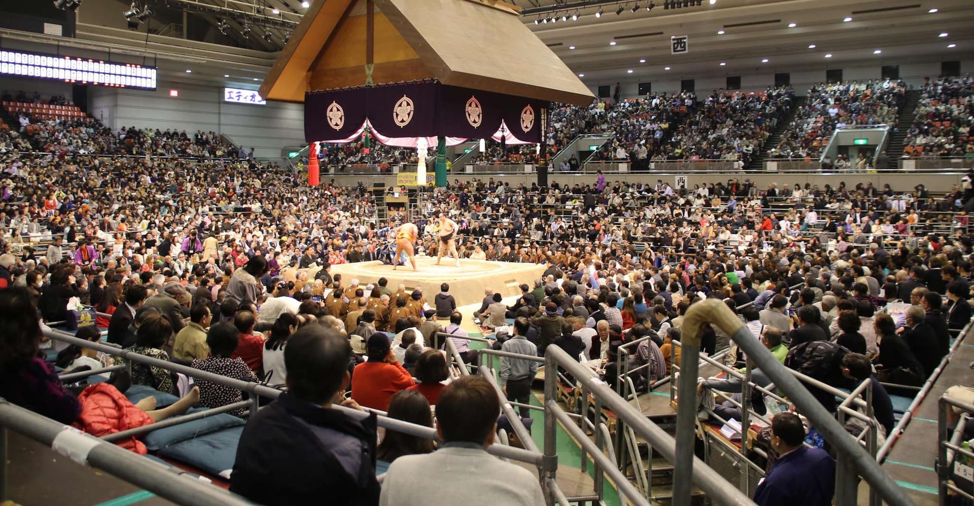 Osaka: Sumo Wrestling Tournament with Chair Seat Tickets photo 3