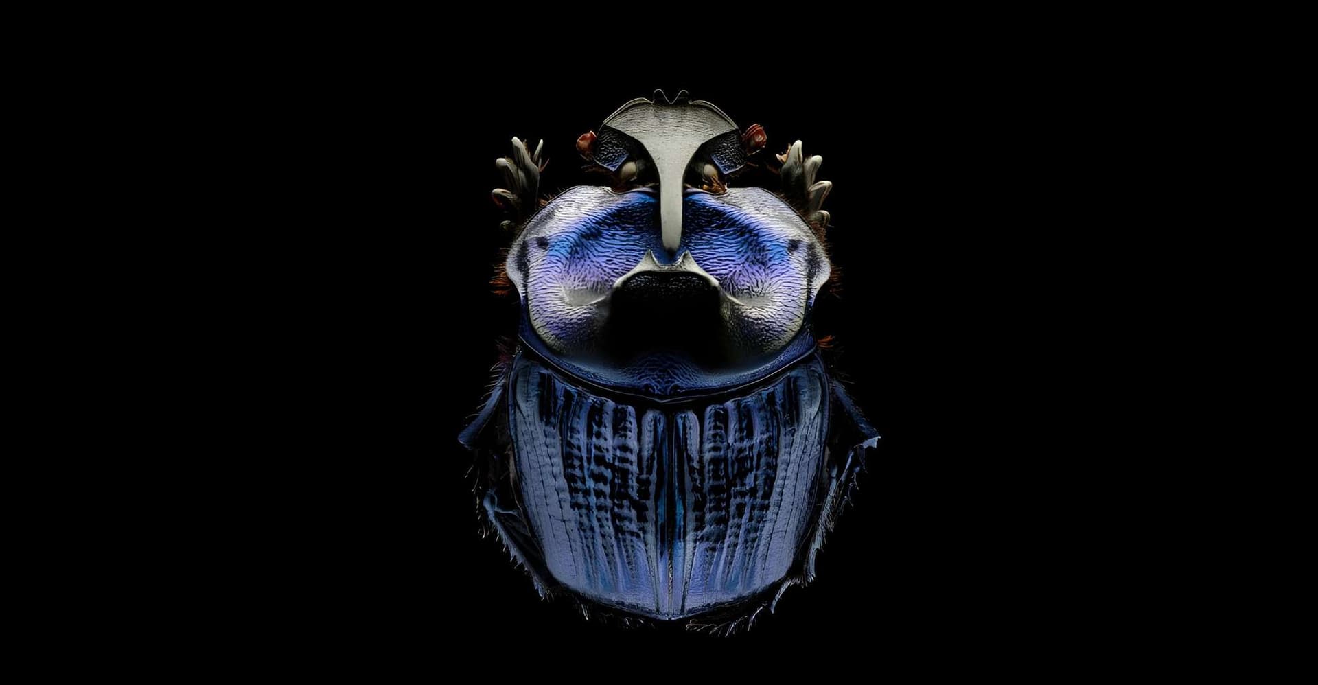 Singapore: ArtScience Museum Entry Ticket photo 12