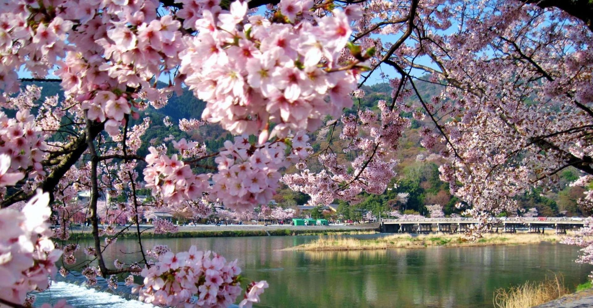 From Osaka/Kyoto: Kinkakuji, Arashiyama, FushimiInari, Nara photo 10