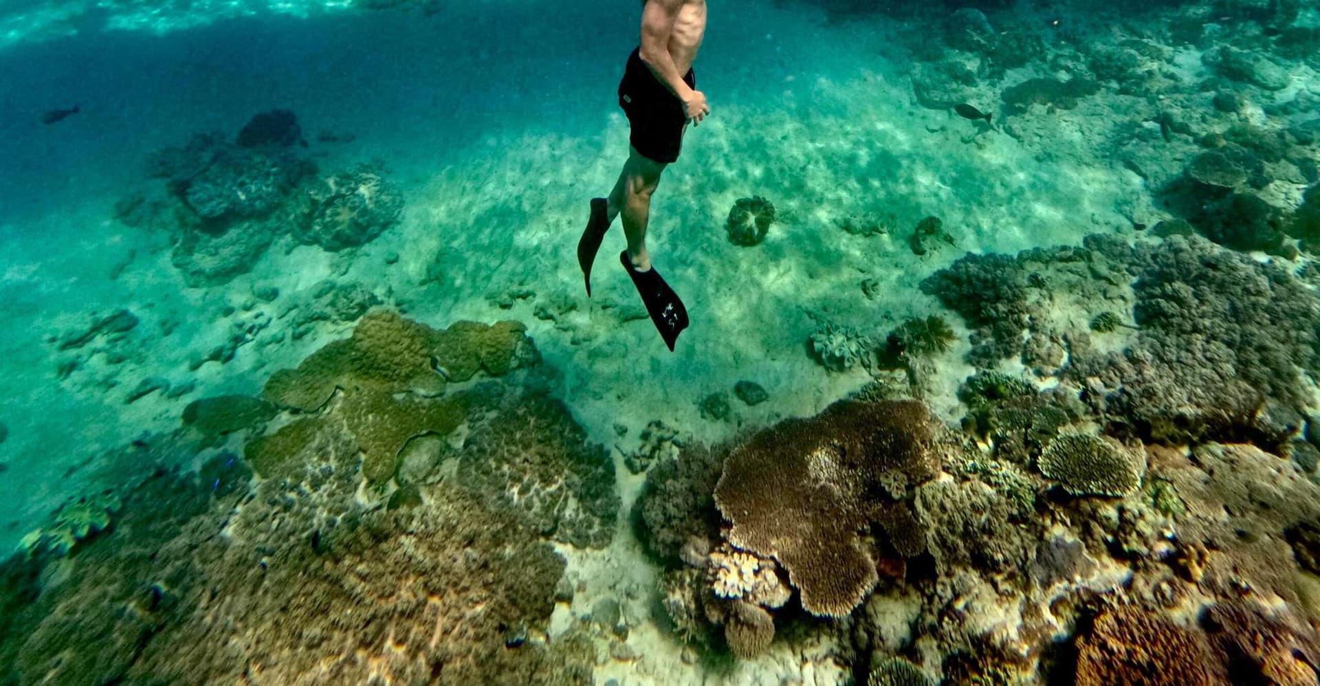 Bali: Snorkeling Blue Lagoon 2 Spot & Lunch optional Village photo 11