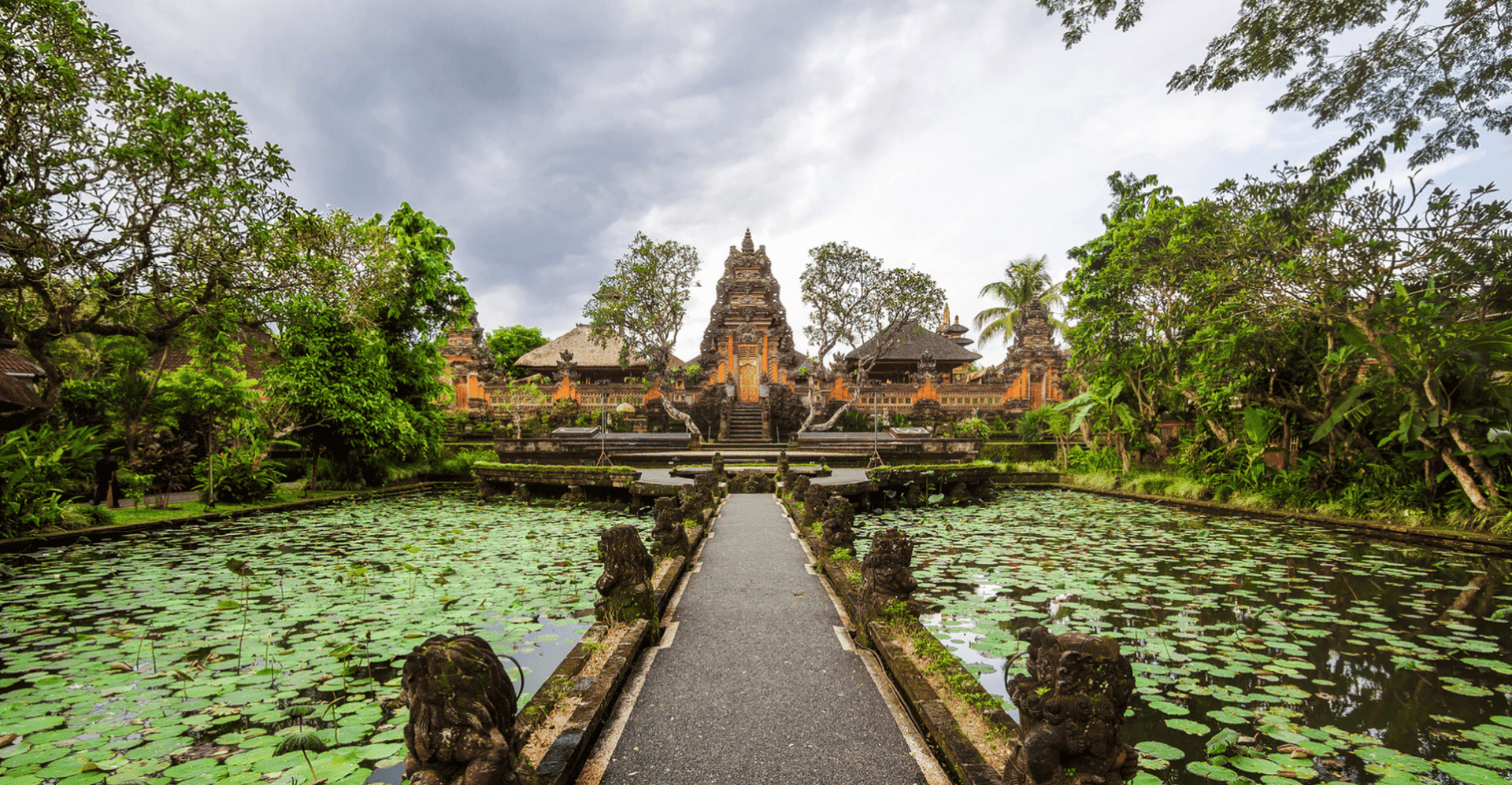 From Bali: Saraswati Temple, Monkey Forest, Ubud Waterfalls photo 3