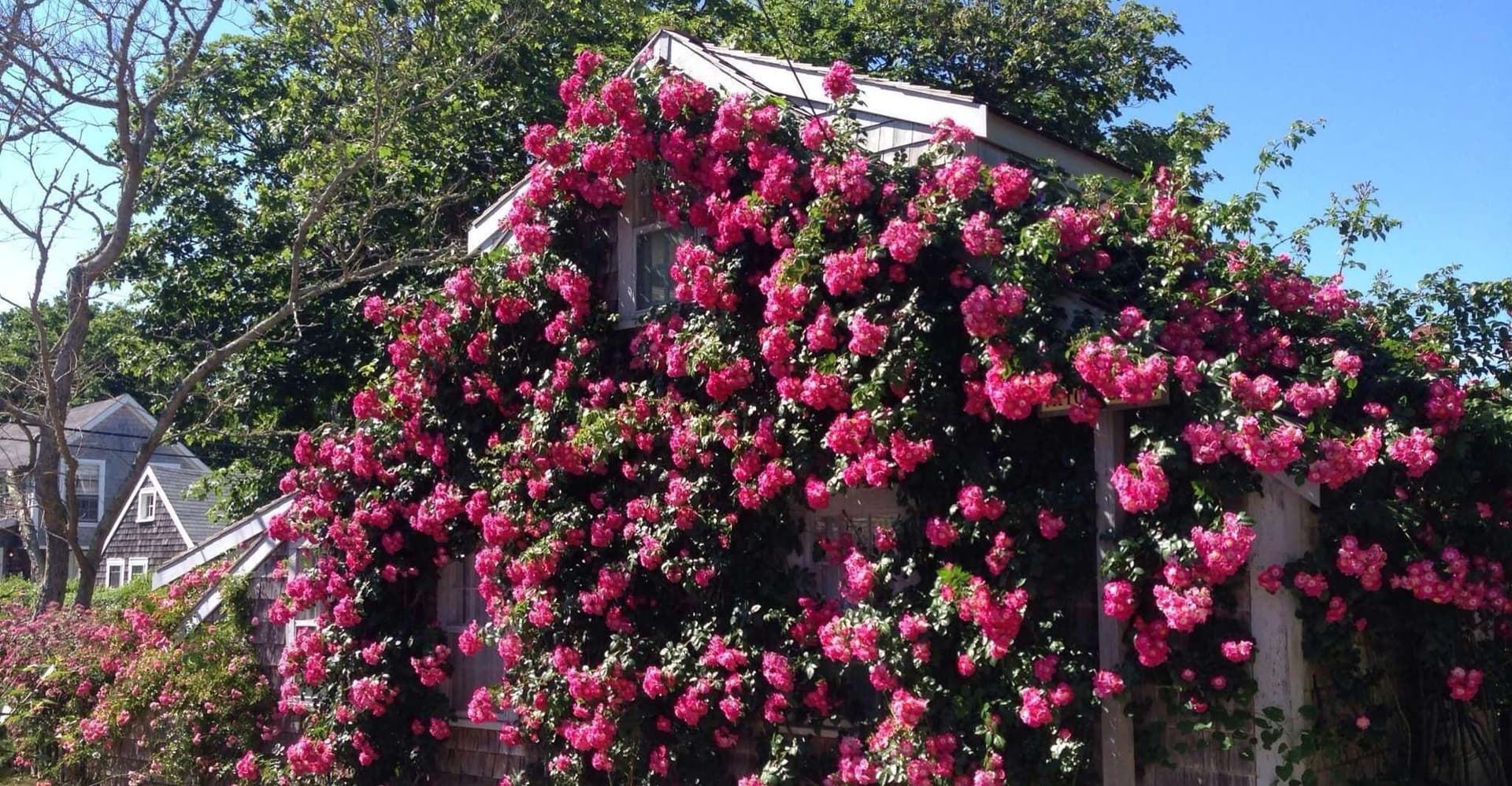 Nantucket: Historical Landmarks Sightseeing Bus Tour photo 1