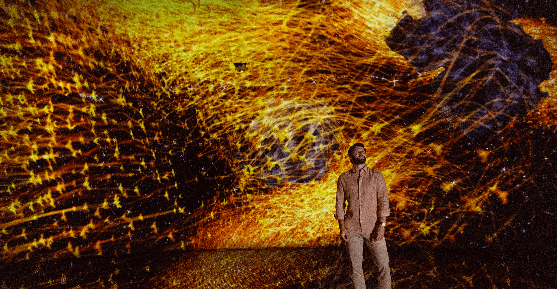 Abu Dhabi: teamLab Phenomena Entry Ticket photo 1