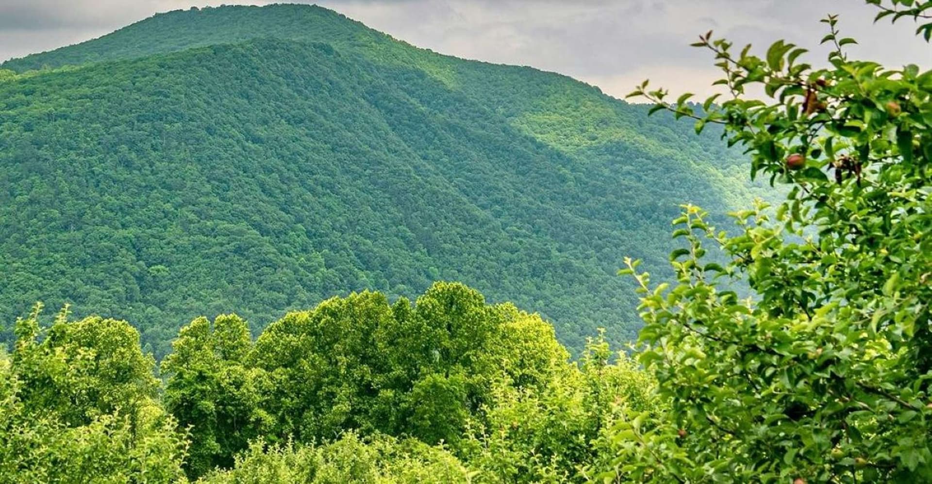 Baku: Guba-Shahdag Resort-Candy Mountain and Laza Waterfall photo 9