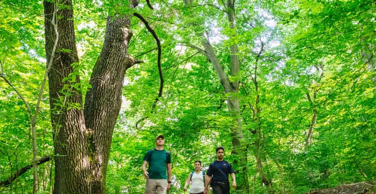 Budapest: Buda Hills Guided Hiking Tour with Optional Lunch