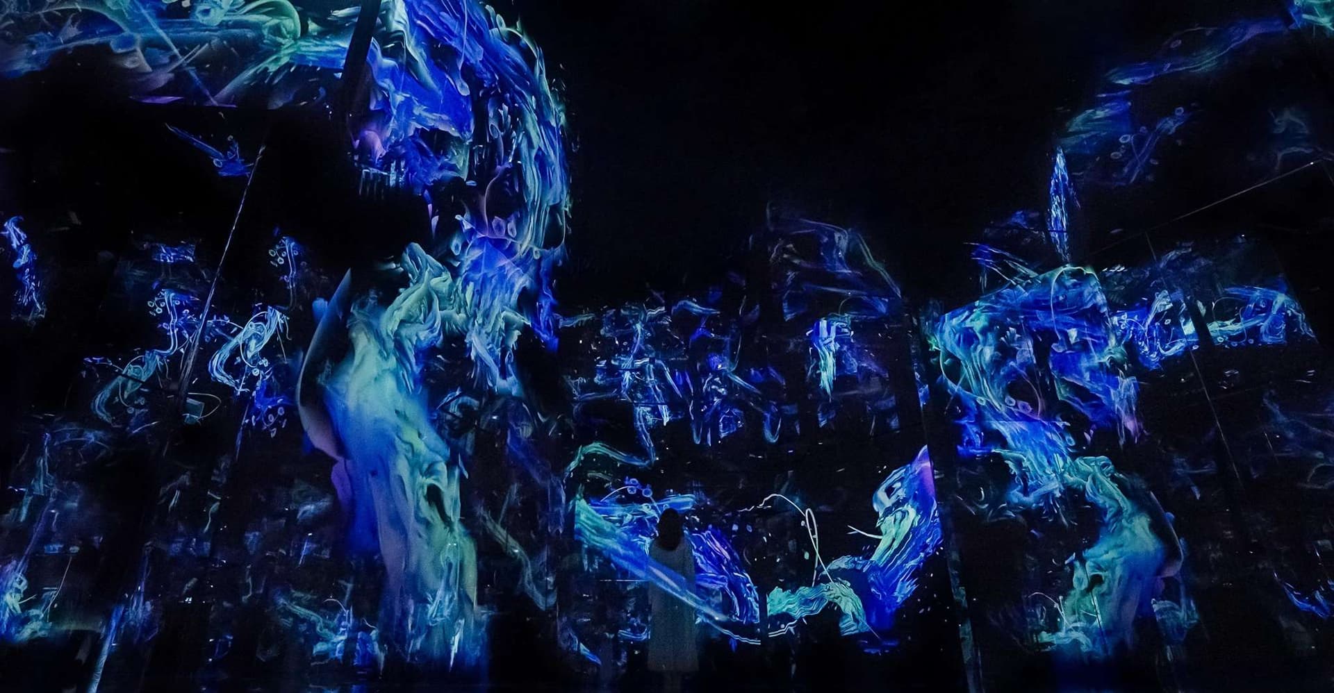 Abu Dhabi: teamLab Phenomena Entry Ticket photo 8