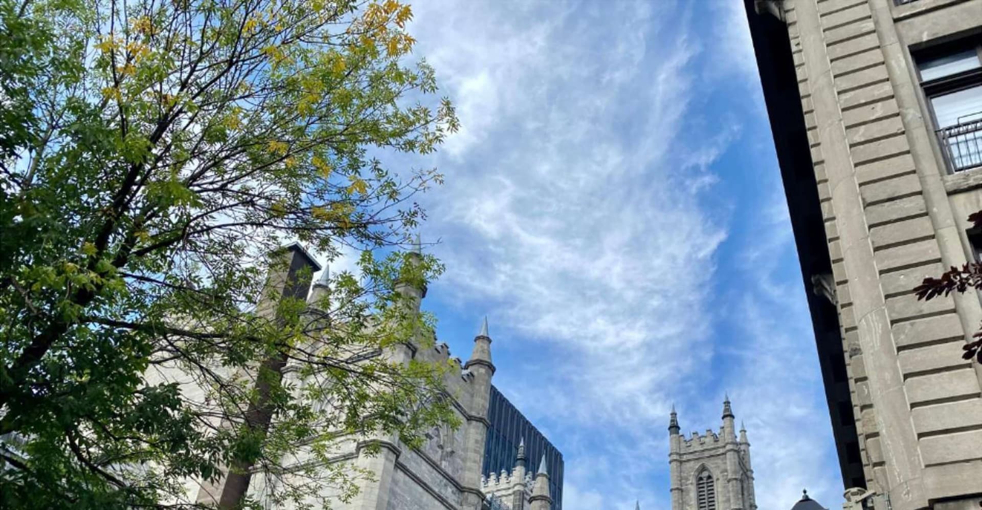 Montréal: The Original Old Montréal Walking Tour photo 5