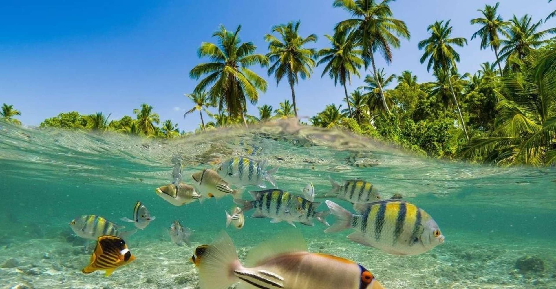 Bali: Snorkeling Blue Lagoon 2 Spot & Lunch optional Village photo 14